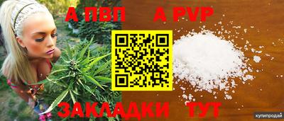 стафф Малоярославец