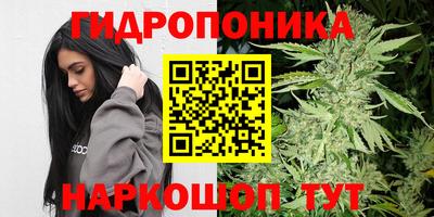 ПСИЛОЦИБИНОВЫЕ ГРИБЫ Мариинск